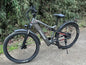 Electric Bicycle RANDRIDE YG90 1000W 48V17AH Hydraulic Brake E-bike with Full Suspension  21 Gears Shift Free Rack Electric bike